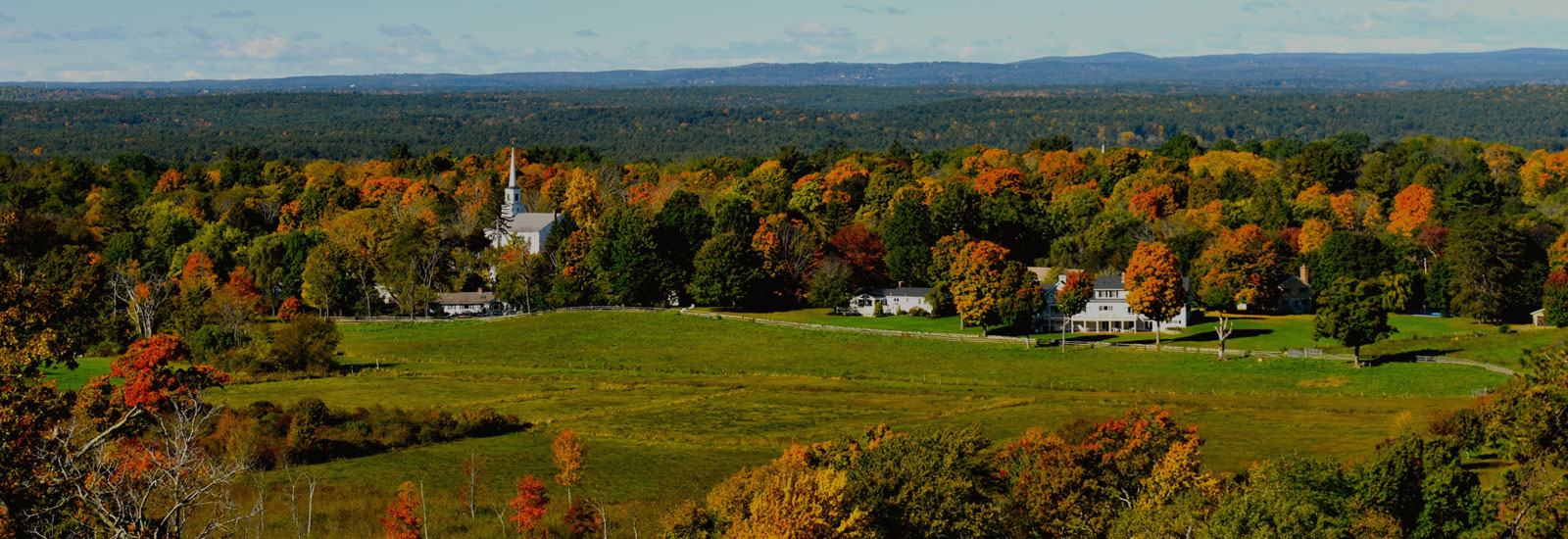 Photo of grassy meadow