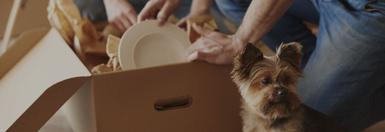 Photo of a person unpacking dishes