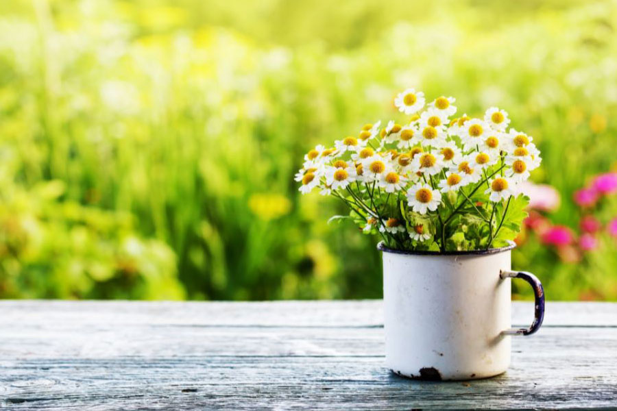 Photo of wildflowers in vintage tin sitting on wooden table