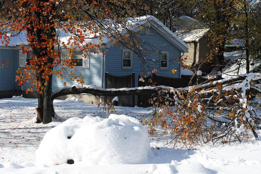 A home with a tree downed from snow and winter damage