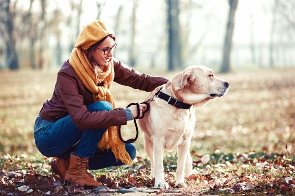 A young woman with her golden retriever in the woods